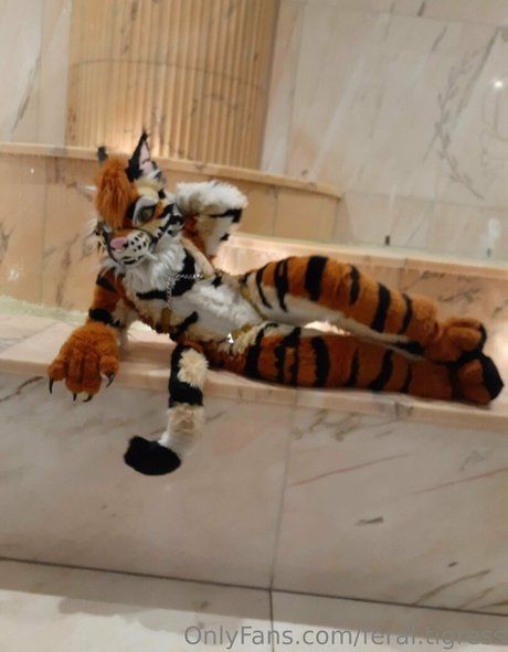 feral tigress star nice pictures