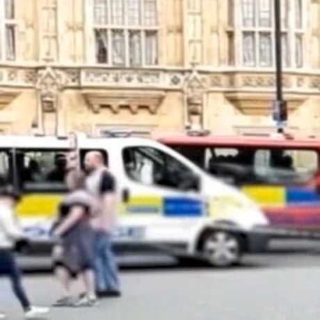 smallmolly model adult picture