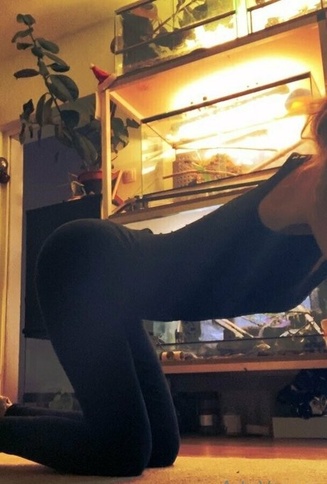 artnvenom star nice photo