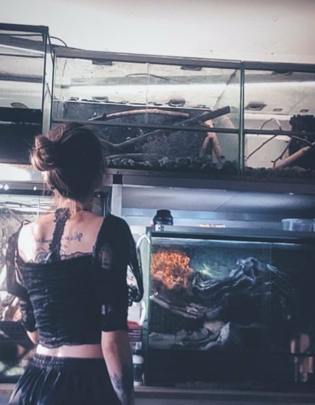 artnvenom exclusive star gallery