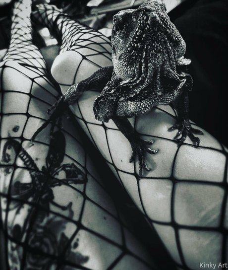 artnvenom free star pictures