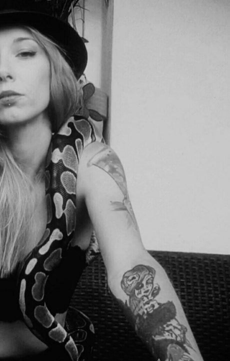 artnvenom sex star picture