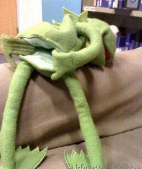 roniiflores star pornographic image