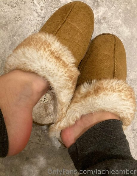 lachleamber pornographic actress pics