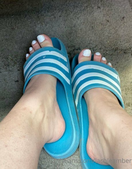 lachleamber hd model photo