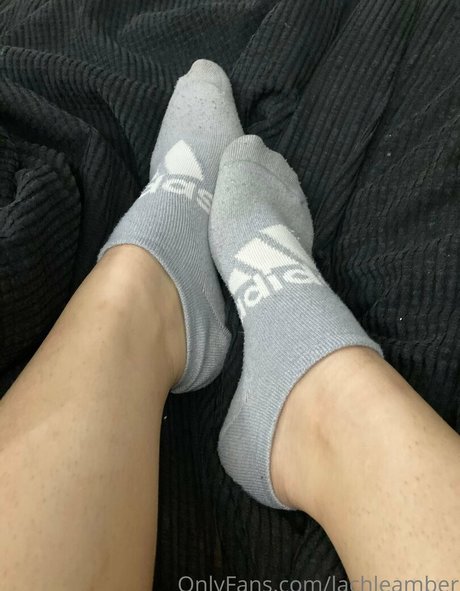 lachleamber nice pornstar pictures