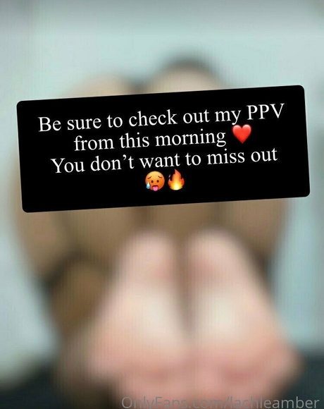 lachleamber best pornstar archive