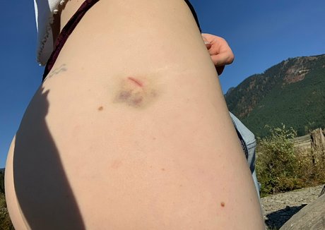 sunset fawn porn model image