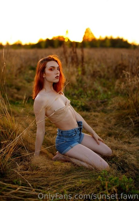 sunset fawn hd model image