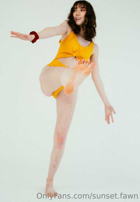 sunset fawn Profile pic