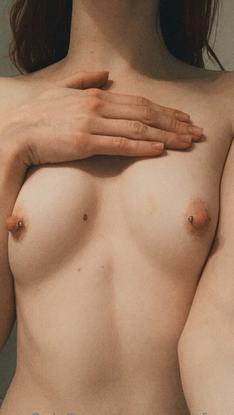 sunset fawn top star archive