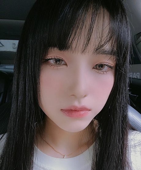 zlzzlz95 art star image