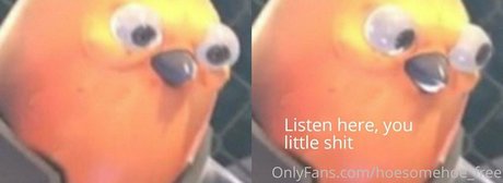 melissa cho chang free model beautiful pic