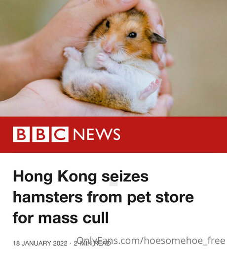 melissa cho chang free exclusive star picture