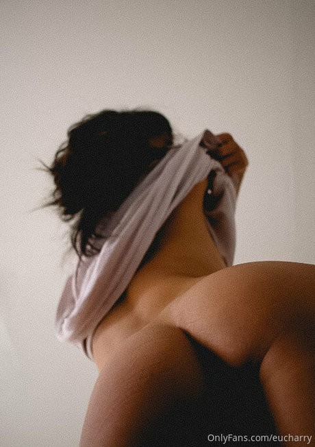 Charry Jin model archive