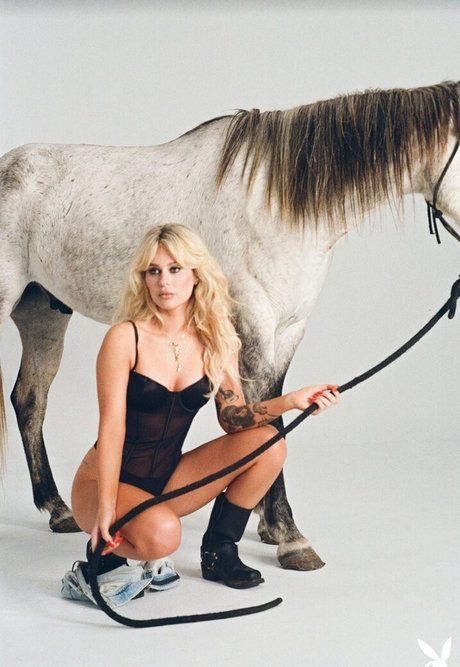 Ryan Hadarah sex star pic