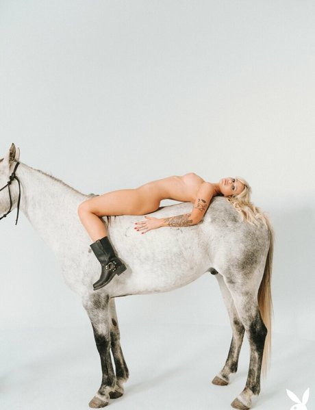 Ryan Hadarah pornographic star image