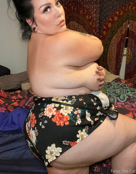 felyxthecat erotic star photo