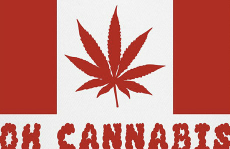 curvaceous barbie star art photo