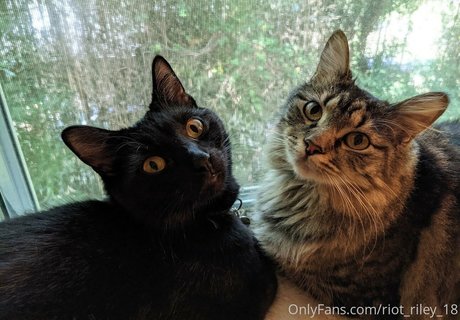 foxygamergurl model erotic images