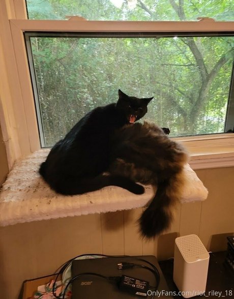 foxygamergurl sexy model photo