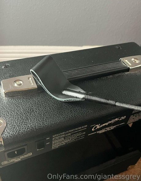 giantessgrey Profile pic