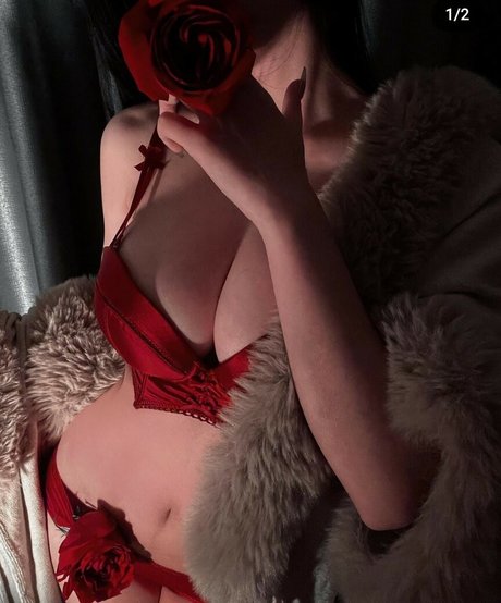 Naughtyjolie star art images