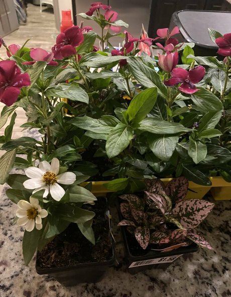 realskygray pornstar hd pic