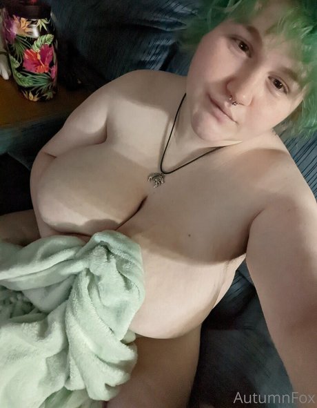 perkyfox star pretty galleries