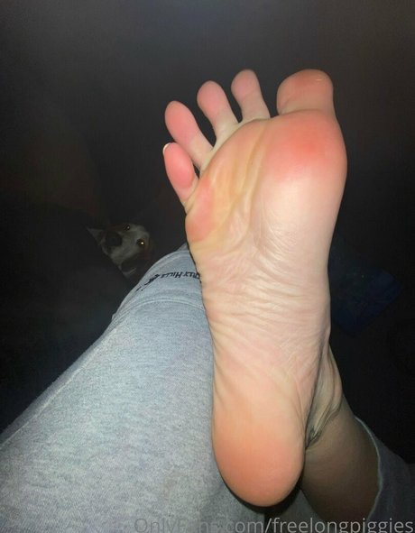 freelongpiggies high quality pornstar archive