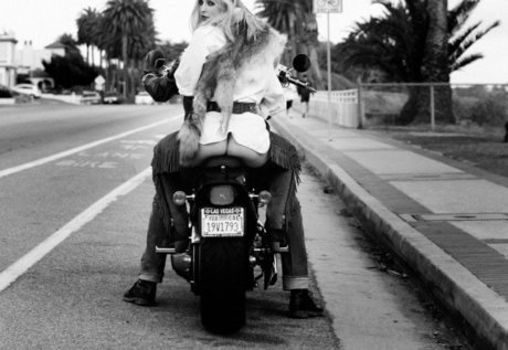 Scout Willis pornstar exclusive archive