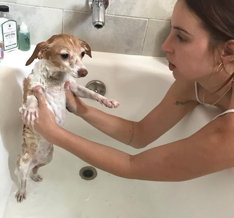 Scout Willis xxx model img