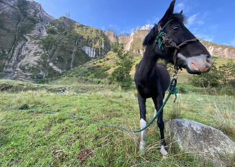 the real ninja girl star xxx pictures