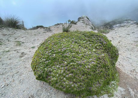 the real ninja girl adult model galleries