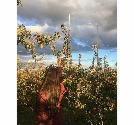 Reema Rochelle free pornstar img