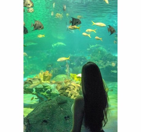 Reema Rochelle sex actress archive