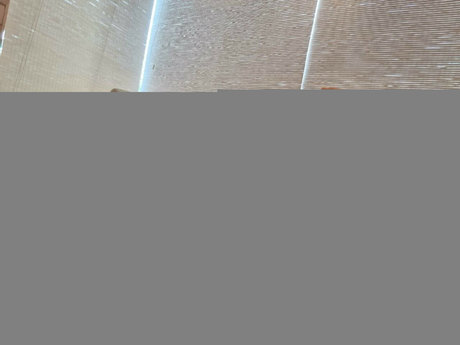 Jessie Rogue adult actress pic