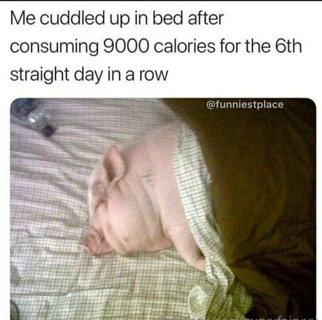 curvyfairyyy adult star image