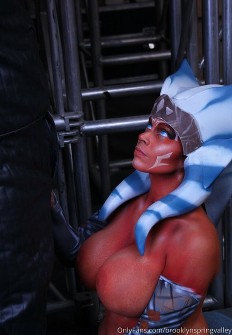 Brooklynspringvalley model images