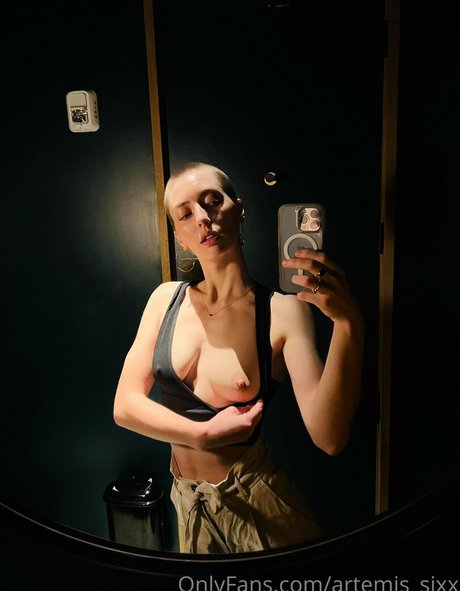 artemis sixx star art image