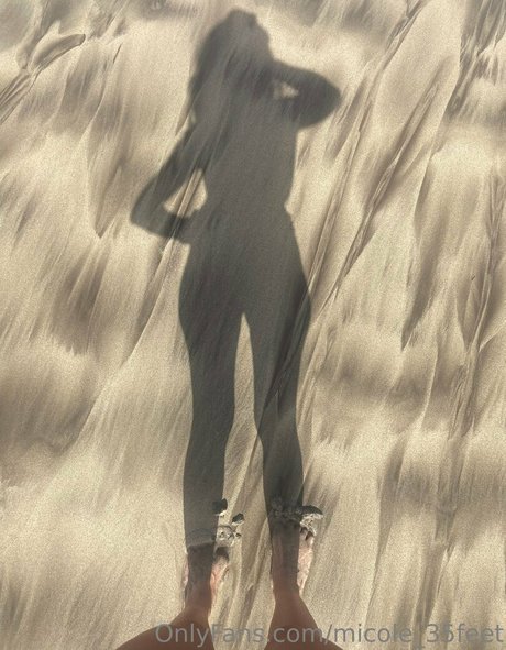 micole 35feet star perfect image