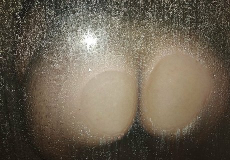 priscilasmith pornstar sex img