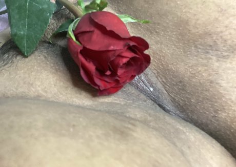 vanessahinata Profile pic