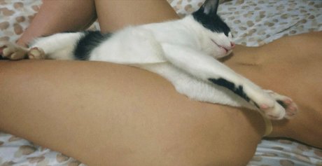 signorinabella top pornstar pics