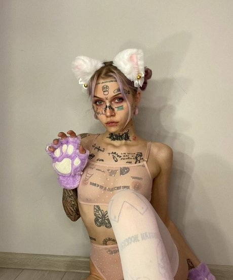 dtlowtcktpiilwh nice star pictures