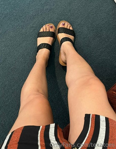 texatoes hd model photos