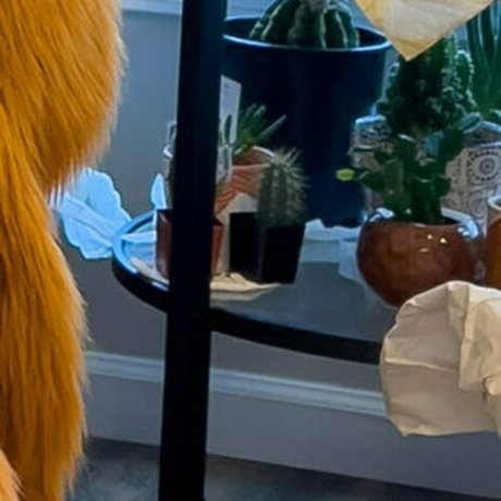 rain horsie nude actress picture