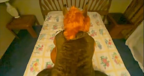 rain horsie star art gallery