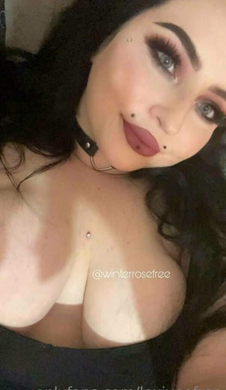 lexiveefree star art picture