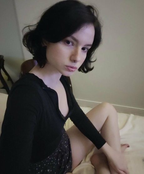 lunarium star exclusive archive